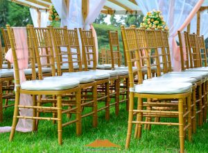 Wynemm_Chiavari-chairs